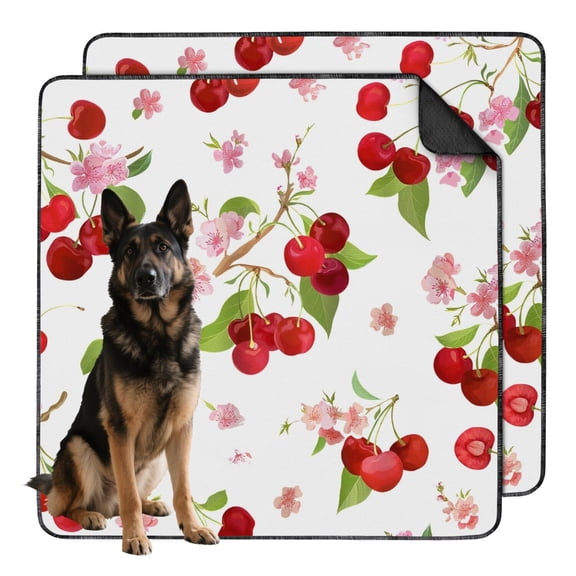 48"x48" Premium Fruits Themed Washable Dog Pee Pads, Reusable Potty Pads with Non-Slip Bottom and Multi-Layer Construction