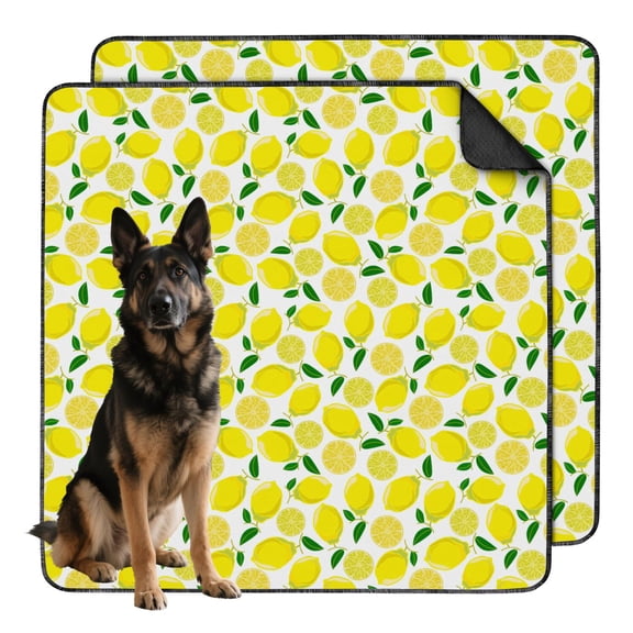 48"x48" Washable Pee Pads for Dogs with Fruit Patterns, Reusable Non-Slip Puppy Training Mat for Senior Dogs and Indoor Accident Control