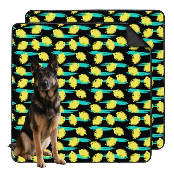 48"x48" Washable Pee Pads with Vibrant Fruit Patterns, Reusable Non-Slip Potty Training Mat for Crate Interiors and Hard Surface Floors