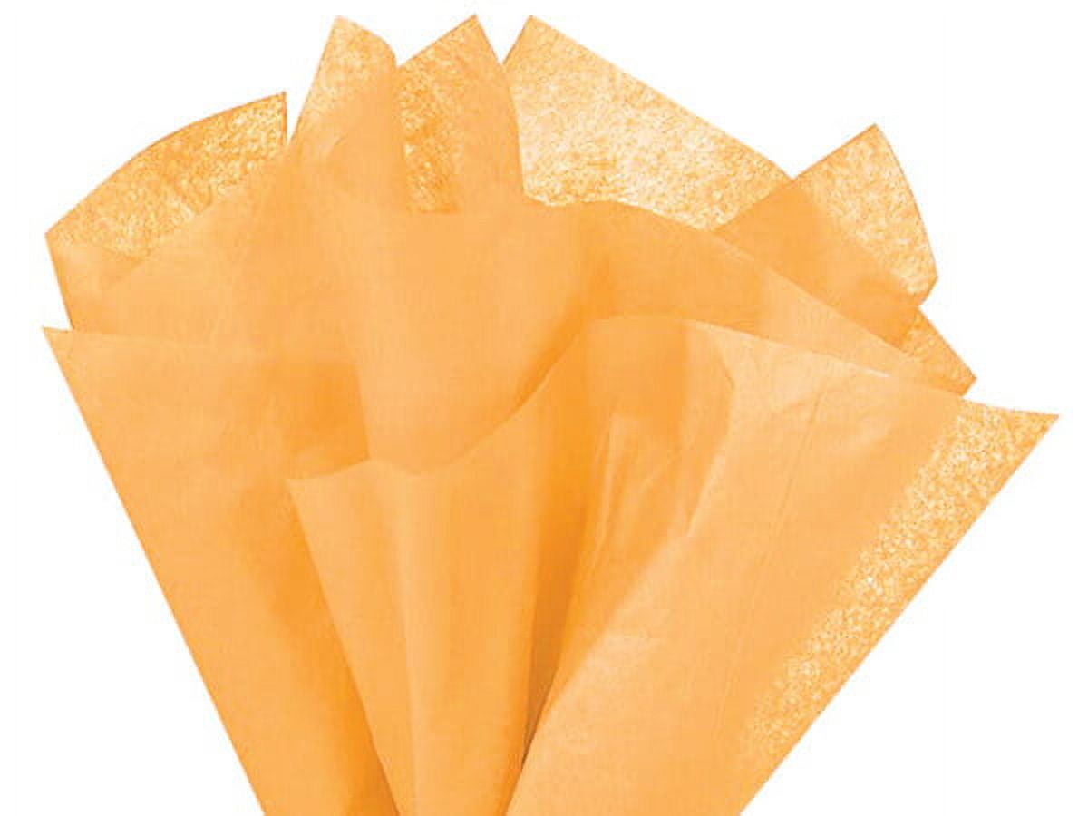 480 Pack, Peach Color Tissue Paper 20 x 30" Sheet Pack for DIY, Gift Wrapping, Birthday Parties and Events, Made In USA