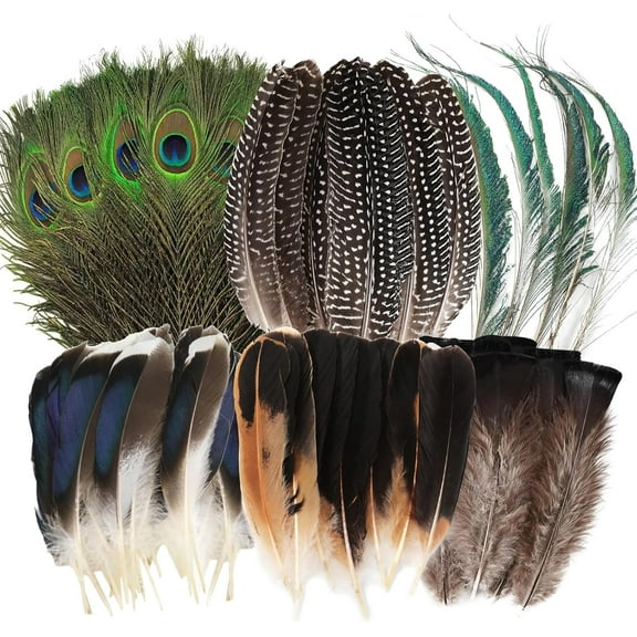 48PCS Natural Feathers for Crafts Art, 6 Styles Peacock Pheasant Peacock Sword Turkey Duck Feathers Bulk for DIY Costumes Jewelry Hat Wedding Party Carnival Decoration