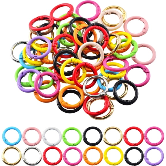 48Pcs Colored Metal Spring O Ring Carabiner Clips, Round Snap Hook Keychain Rings Bulk for DIY Keychain, Bag Charm, Purse & Dog Accessories