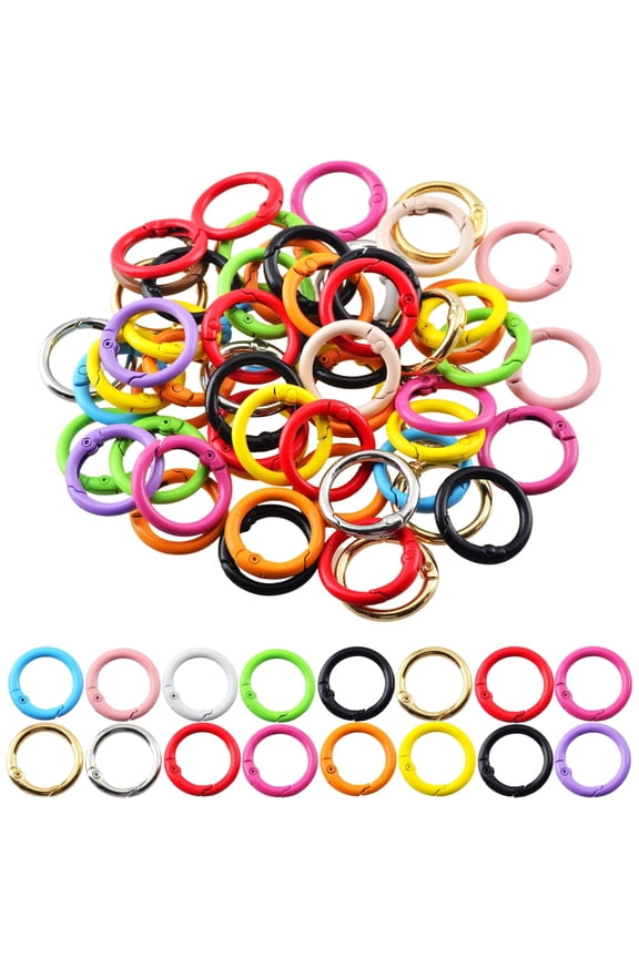 48Pcs Colored Metal Spring O Ring Carabiner Clips, Round Snap Hook Keychain Rings Bulk for DIY Keychain, Bag Charm, Purse & Dog Accessories