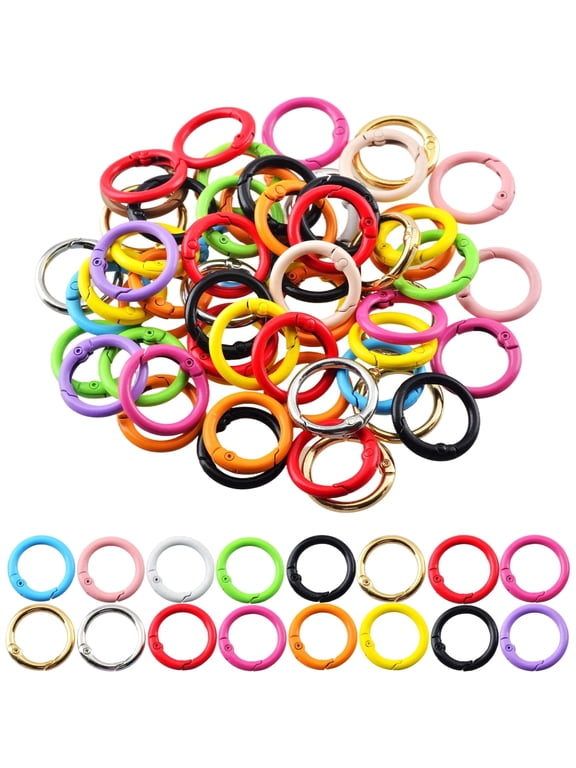 48Pcs Colored Metal Spring O Ring Carabiner Clips, Round Snap Hook Keychain Rings Bulk for DIY Keychain, Bag Charm, Purse & Dog Accessories