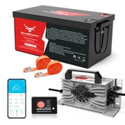 48V 100Ah LiFePO4 Lithium Battery,200A BMS,10000+ Deep Cycle Lithium Iron Phosphate Battery Great for Golf Cart, RV, Marine and Off Grid Applications