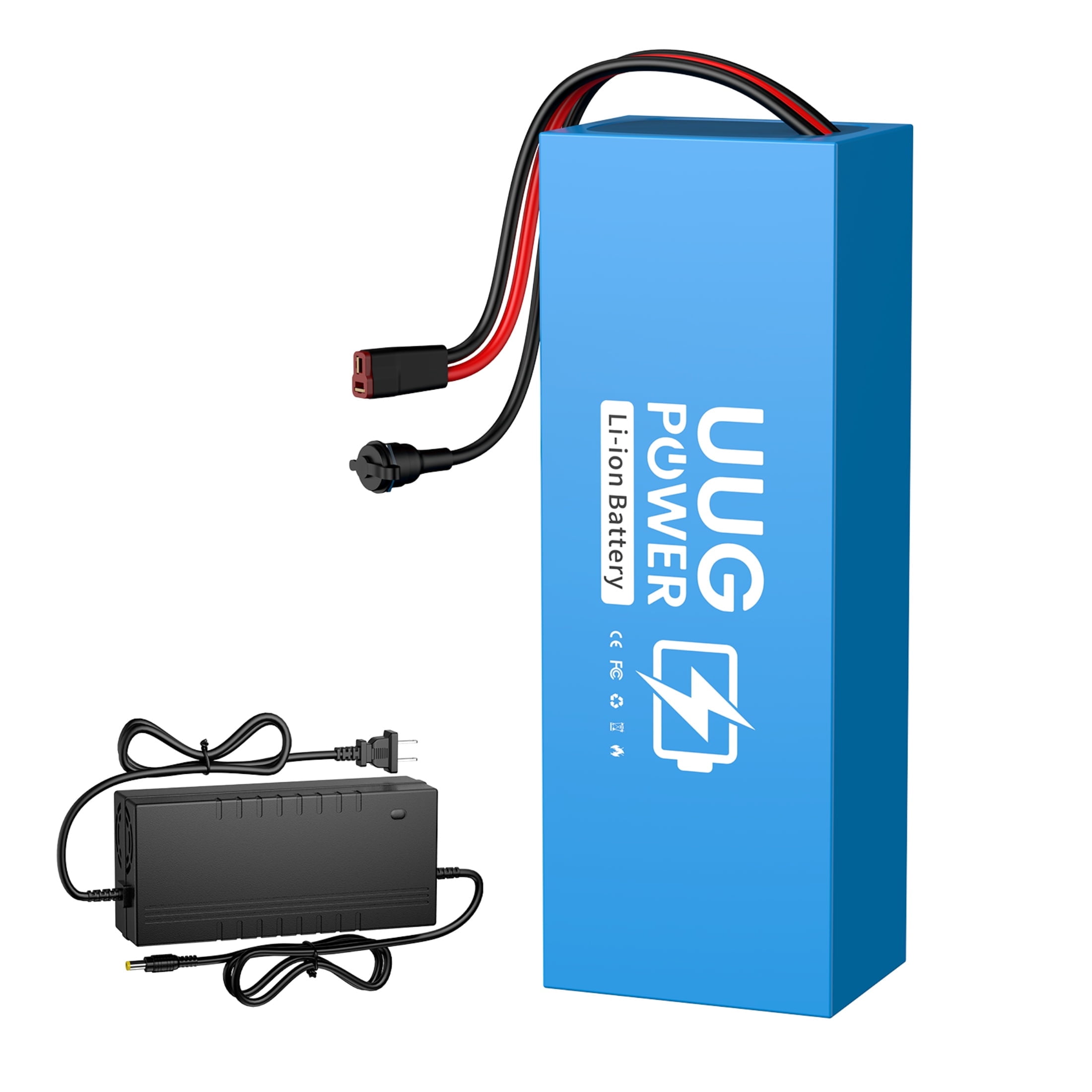 48V 10AH Battery Bicycle Replacement Lithium ion 1000W with 2A Adapter