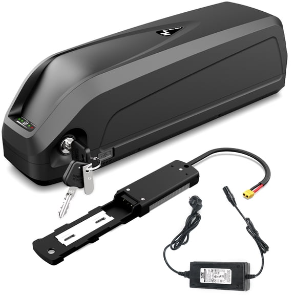 48V 20AH Lithium Battery for Electric Bicycles, with Built-in Battery Management System (BMS)