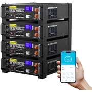 48V 400Ah LiFePO4 Lithium Battery 4 Pack 48V 100AH with 100A BMS, 20.48kWh Capacity, Server Rack Battery with Bluetooth, 6000 Deep Cycles, Ideal for Off-Grid, Solar