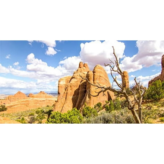 48X18IN, Reptile Habitat Background, Orange Desert Terrarium Background, Blue Sky Oasis Cactus Background with 8 EVA Double-Sided Tape