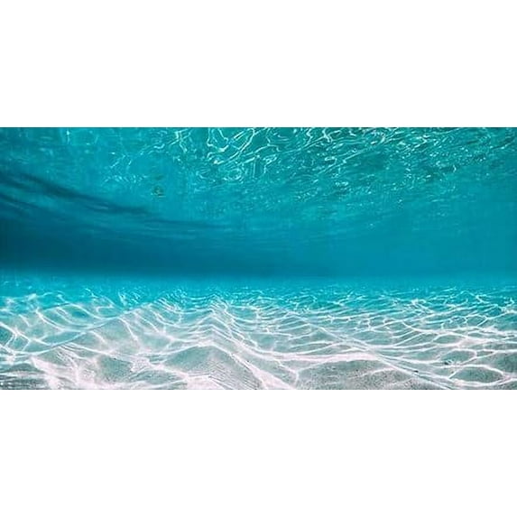 48X20IN, Natural Undersea Aquarium Background, Undersea Beach Fish Tank Background, with 8 EVA Double-Sided Tape