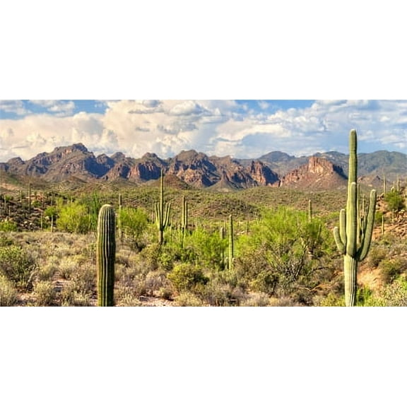 48X24IN, Reptile Habitat Background, Mountain Blue Sky Oasis Cactus Terrarium Background with 8 EVA Double-Sided Tape