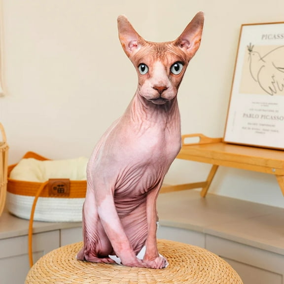 48cm Lifelike Pet Cat Plush Doll Pillow Simulation Siamese Cat Muppet Cat Orange Cat Plush Toy Home Decor Gift For Children