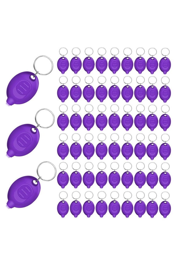 48pcs Mini UV Keychain Flashlight,Portable Black Light