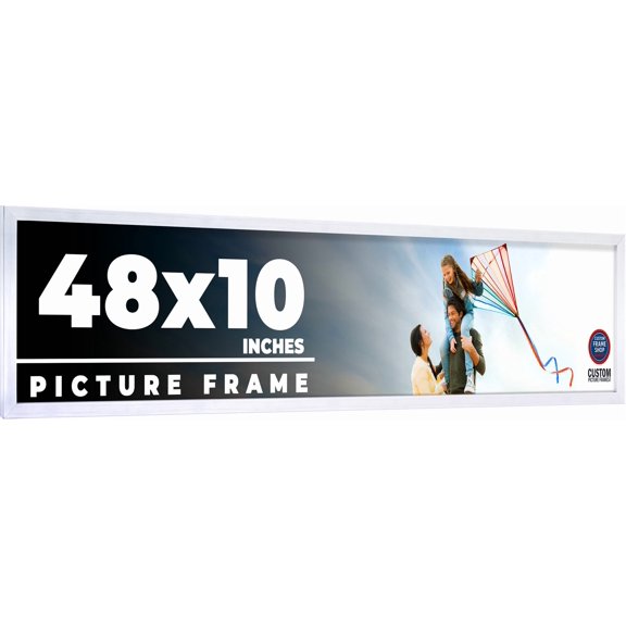48x10 Frame Silver Stainless Steel Solid Wood Picture Frame | 0.75 Inch Moulding Width | Includes