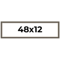 48x12 Frame Silver Real Wood Picture Frame Width 1.25 Inches | Interior Frame Depth 0.5 Inches |