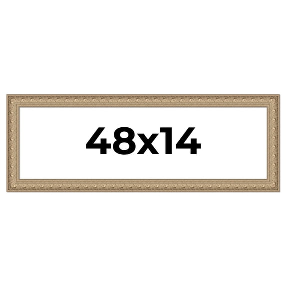 48x14 Frame Ornate Silver Beaded Solid Wood Picture Frame Width 2.5 Inches | Interior Depth 1