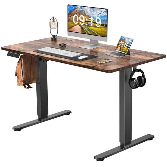 48x24 inch Electric Standing Desk with 2 Rear End Wiring Holes, Hook Adjustable Height Stand Up Desk, Memory Computer Desk Workstation