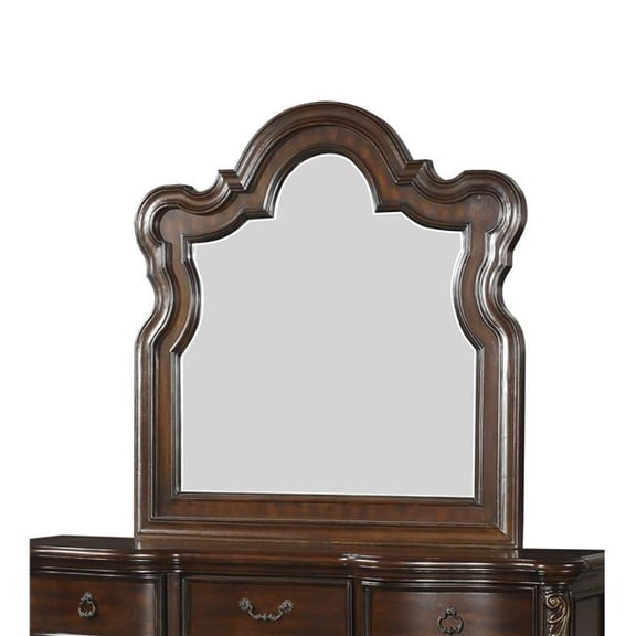 49 x 2 x 47.75 in. Royal Highlands Mirror - Brown