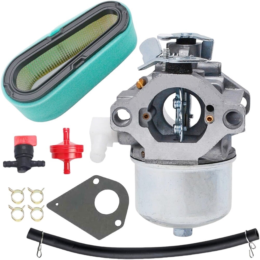 495782 Carburetor for BS 497581 495784 494881 495778 494883 698171 ...