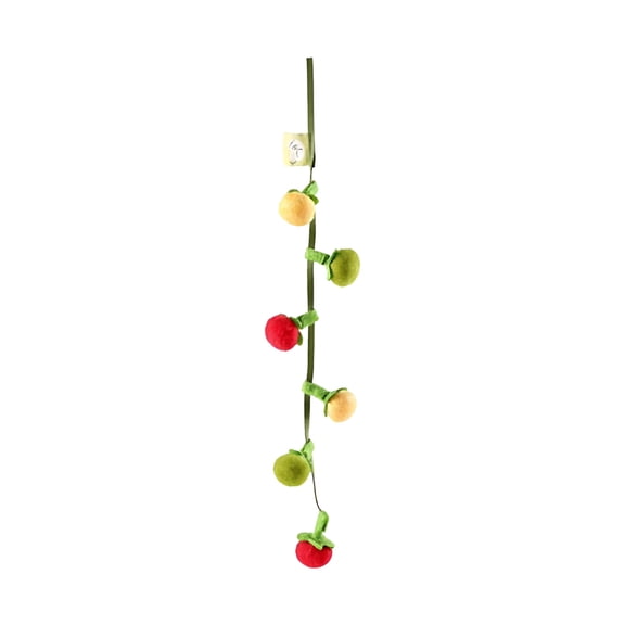 49Inch Catnip Toy with Squeaky Fruit String, Interactive Hanging & Handheld Teaser for Cats, Cherry Tomato & Persimmon Chew