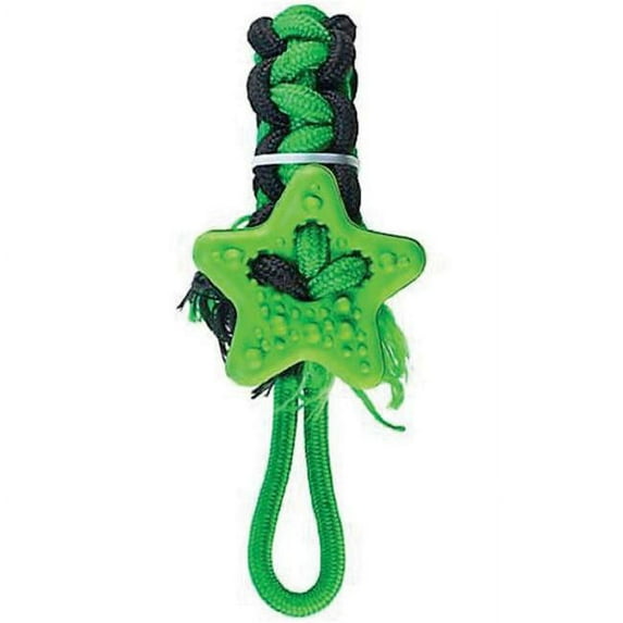 4BF 777063 Rubber Chew Toy with Rope for Dog Tugging Bone, Green
