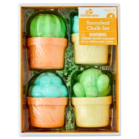 Succulent Chalk, Multicolor, 4 Count, Easter by Way To Celebrate