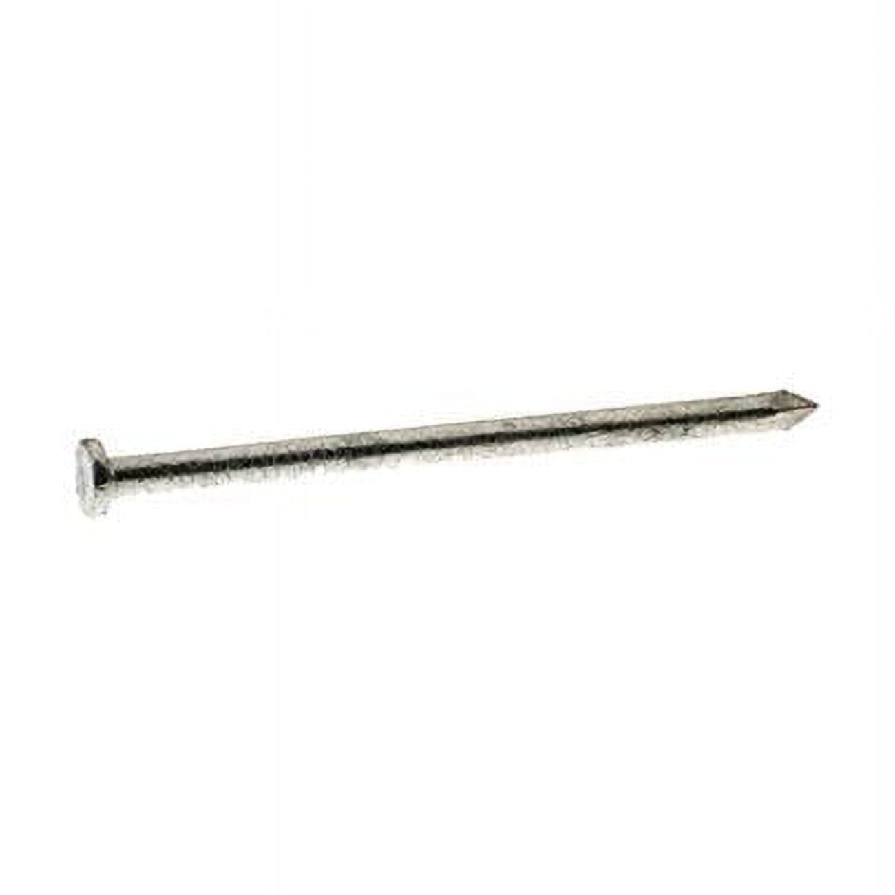 4D 1.5 in. Common Hot-Dipped Galvanized Steel Nail, Round - 50 lbs