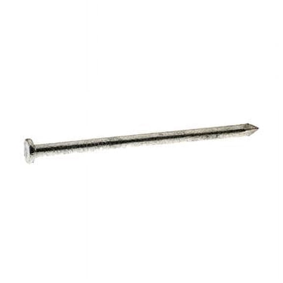 4D 1.5 in. Common Hot-Dipped Galvanized Steel Nail, Round - 50 lbs