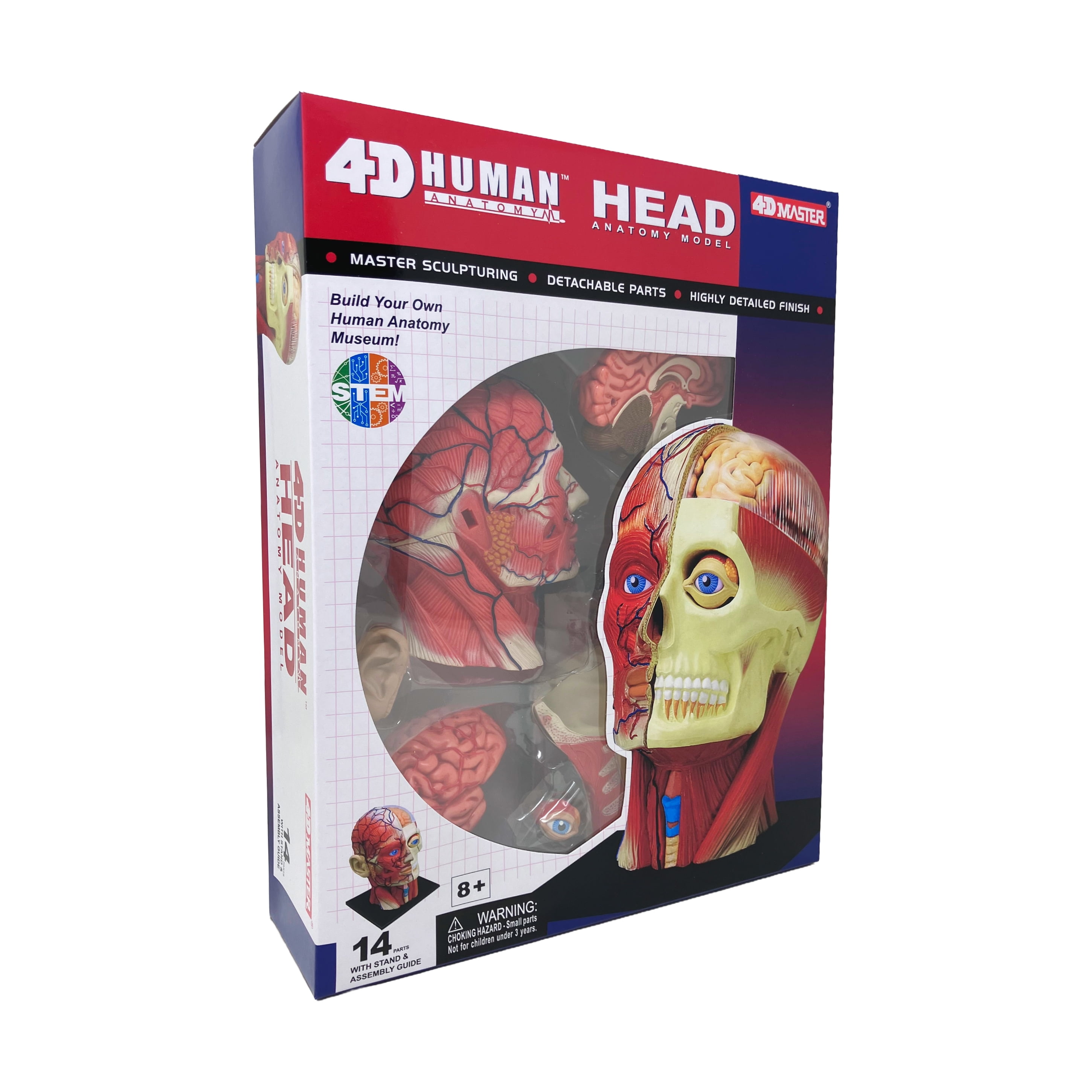 4D-Human-Head_2532922e-c43a-