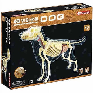 4D-MASTER-4D-Vision-Full-