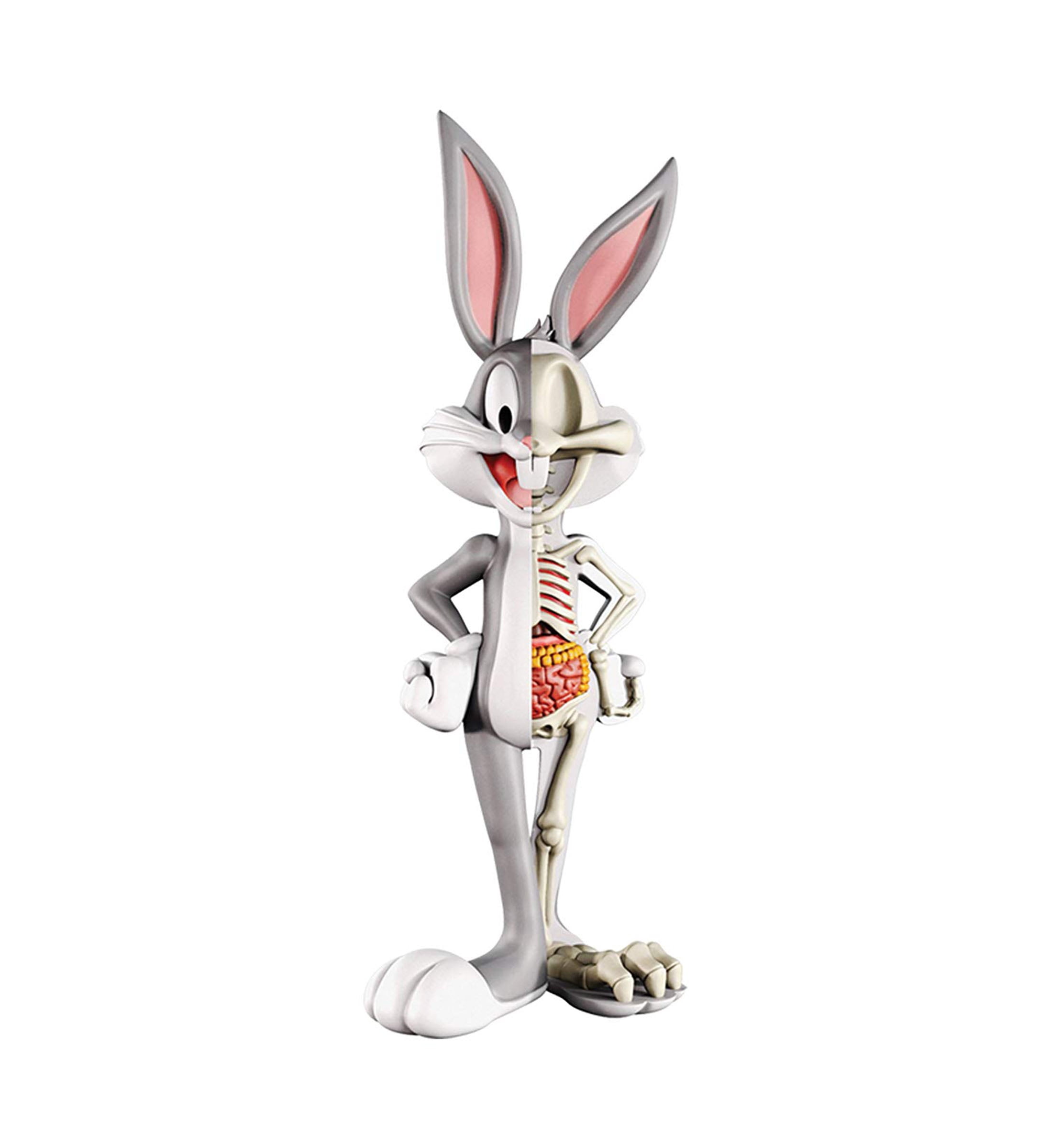 4D Master 4D XXRAY Dissected Vinyl Art Figure - Looney Tunes 4D Master 4D XXRAY Dissected Vinyl Art Figure - Looney Tunes