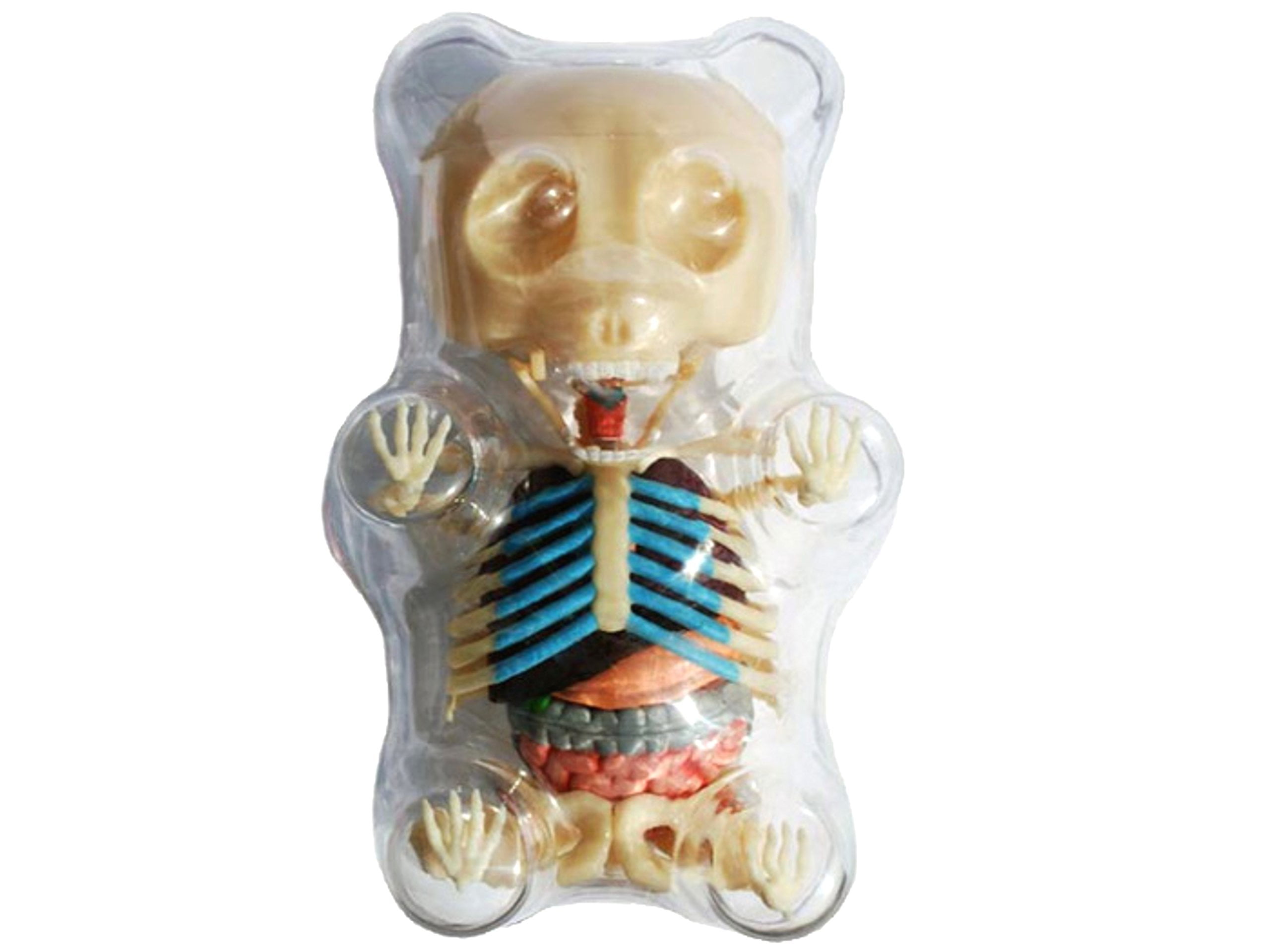 4D Master Gummi Bear Skeleton Anatomy Model Kit, Clear - Walmart.com