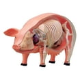 thumbnail image 1 of 4D Pig Dissection Model Educational Toy Learning Aid Anatomically Accurate with Removable Parts for University Programs, 1 of 9