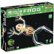 4D Vision Full Skeleton Frog Model
