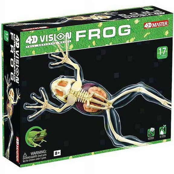 4D Vision Full Skeleton Frog Model