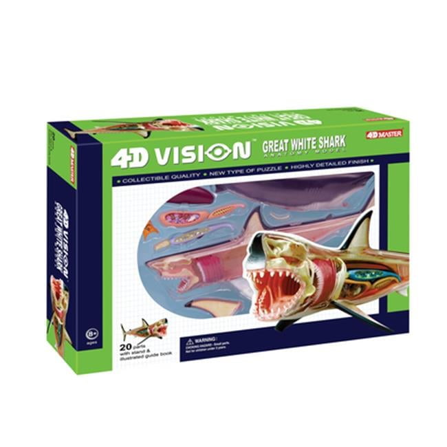 4D MASTER TEDCO 4D Vision Great White Shark Detachable Anatomy Model, 20 Parts
