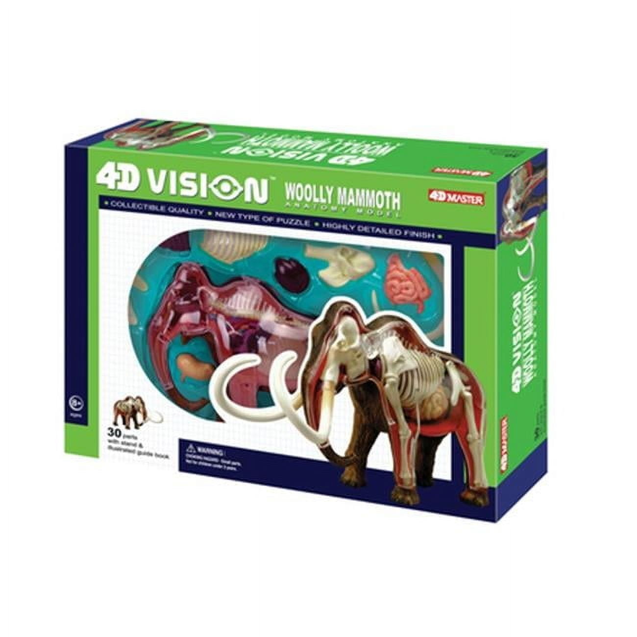 HANSEN - GAME GIFT & TOY COMPANY 4D Wolly Mammoth Anatomy Model, by 4D Master