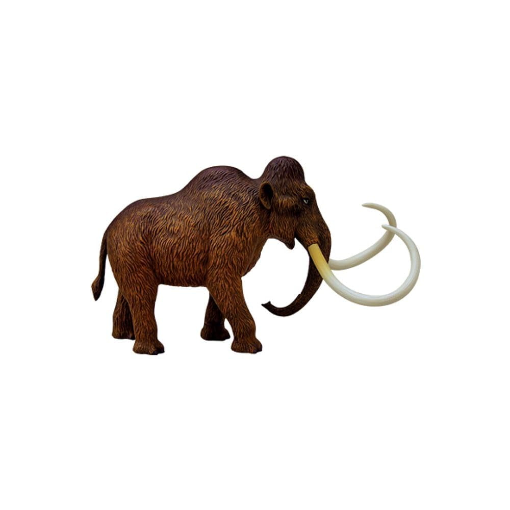 HANSEN - GAME GIFT & TOY COMPANY 4D Wolly Mammoth Anatomy Model, by 4D Master