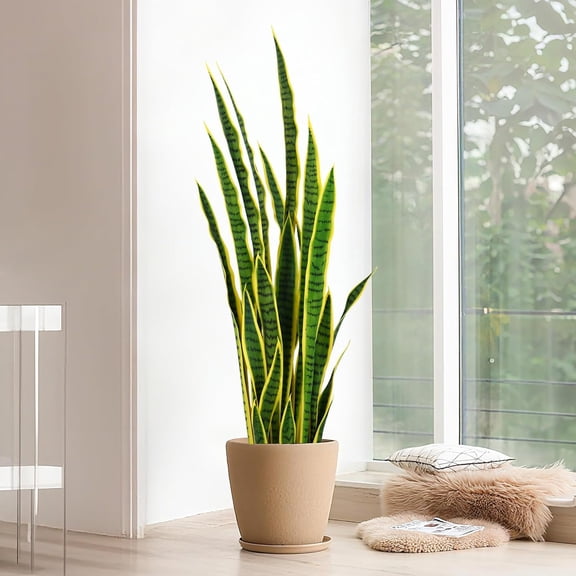 4FT Artificial Snake Plant - Faux Sansevieria Plants with 8inch Pot, Realistic PE Leaves (Green & Yellow) - Fake Plant for Home, Office, Indoor & Corner Decor$$Home Decor, Kitchen, & Other