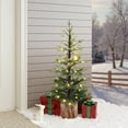 thumbnail image 1 of 4Ft Pre-Lit Winter Green Artificial Evergreen Christmas Tree Potted, 1 of 11