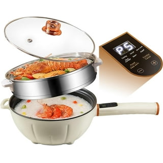 Hytric Hot Pot Electric, 2.5L Portable Electric Skillet with Nonstick  Coating, Dual Power Control Multi-Function Cooker for Stir Fry, Steak,  Noodles