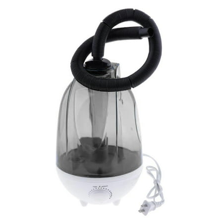 4L Large Capacity Amphibians Reptile Humidifier Fogger