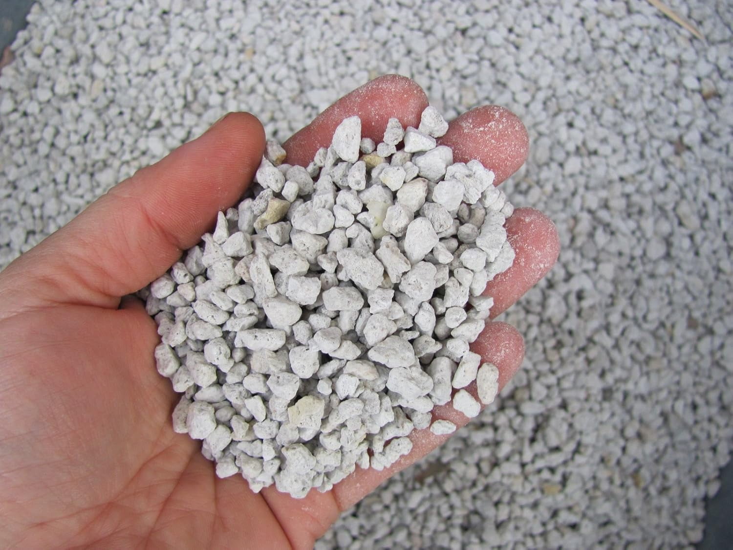 4L Liters / 1 Gallon of Coarse Perlite #3 Great for Seed Starting, Hydroponics & Coco Mix