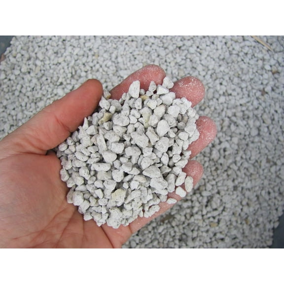 4L Liters / 1 Gallon of Coarse Perlite #3 Great for Seed Starting, Hydroponics & Coco Mix
