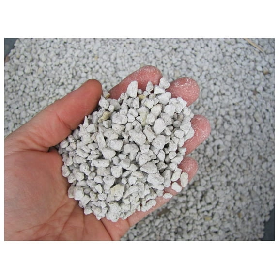 4L Liters / 1 Gallon of Coarse Perlite #3 Great for Seed Starting, & Mix