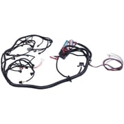 4L80E Stand Alone Wiring Harness Compatible with DBC LS1 1997-2006 w/ 4L80E 4.8L 5.3L 6.0L Vortec Engines Drive by Cable Throttle Body