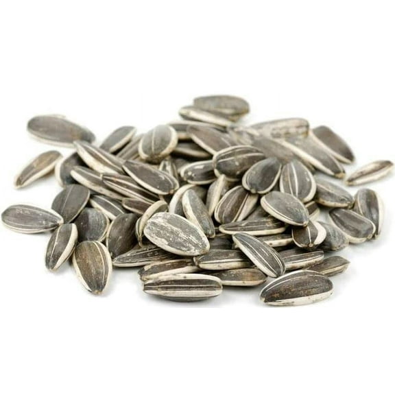 4LB Raw Whole Sunflower Seed in Shell by Nuts to You | Essential Vitamins & Minerals | Healthy Superfood Snack