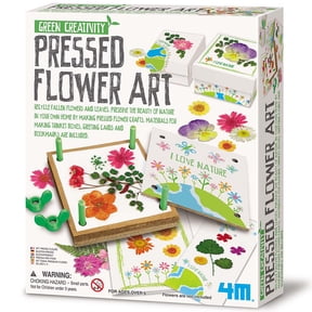4M: Green Creativity: Pressed Flower Art - Preserve Plants & Leaves, DIY Trinket Boxes-Greeting Cards-Bookmarks, Nature Arts & Craft Kit, Kids Age 5+