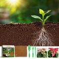 thumbnail image 1 of 4PC Coconut Coir Bricks,Coco Coir Brick,Plant Coir Fiber Bricks Plant Cultivation Growing Nutrient Dirt Potting Grass Flower Fertilizer, 1 of 9