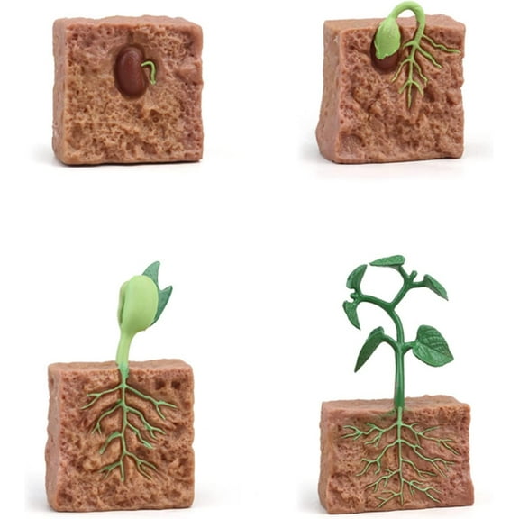 4PC Insect Figurines Life Cycle of Rooster, Ant, Bee, Butterfly, Ladybug, Cicadam, Plant|Plastic Bugs for Safariology Animal Figures, Preschool Science Educational Toy (Plant Cycle)